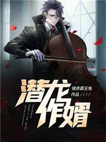 潜龙作婿
