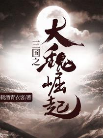 三国之曹丕