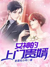 女神的上门贵婿