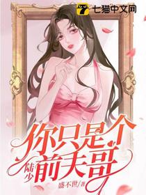 陆少,你只是个前夫哥