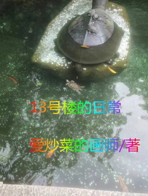 13号楼的日常