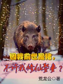 因我前世是猪,不许我修仙娶妻？