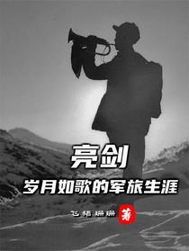 亮剑：岁月如歌的军旅生涯