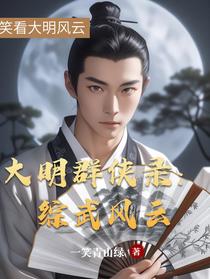 大明群侠录：综武风云