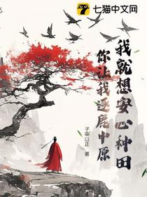 布衣称雄