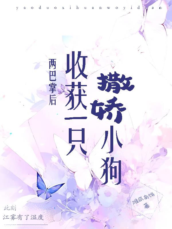 两巴掌后，收获一只撒娇小狗