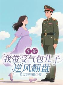 军婚：我带受气包儿子逆风翻盘