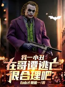 我一小丑，在哥谭逃亡很合理吧？